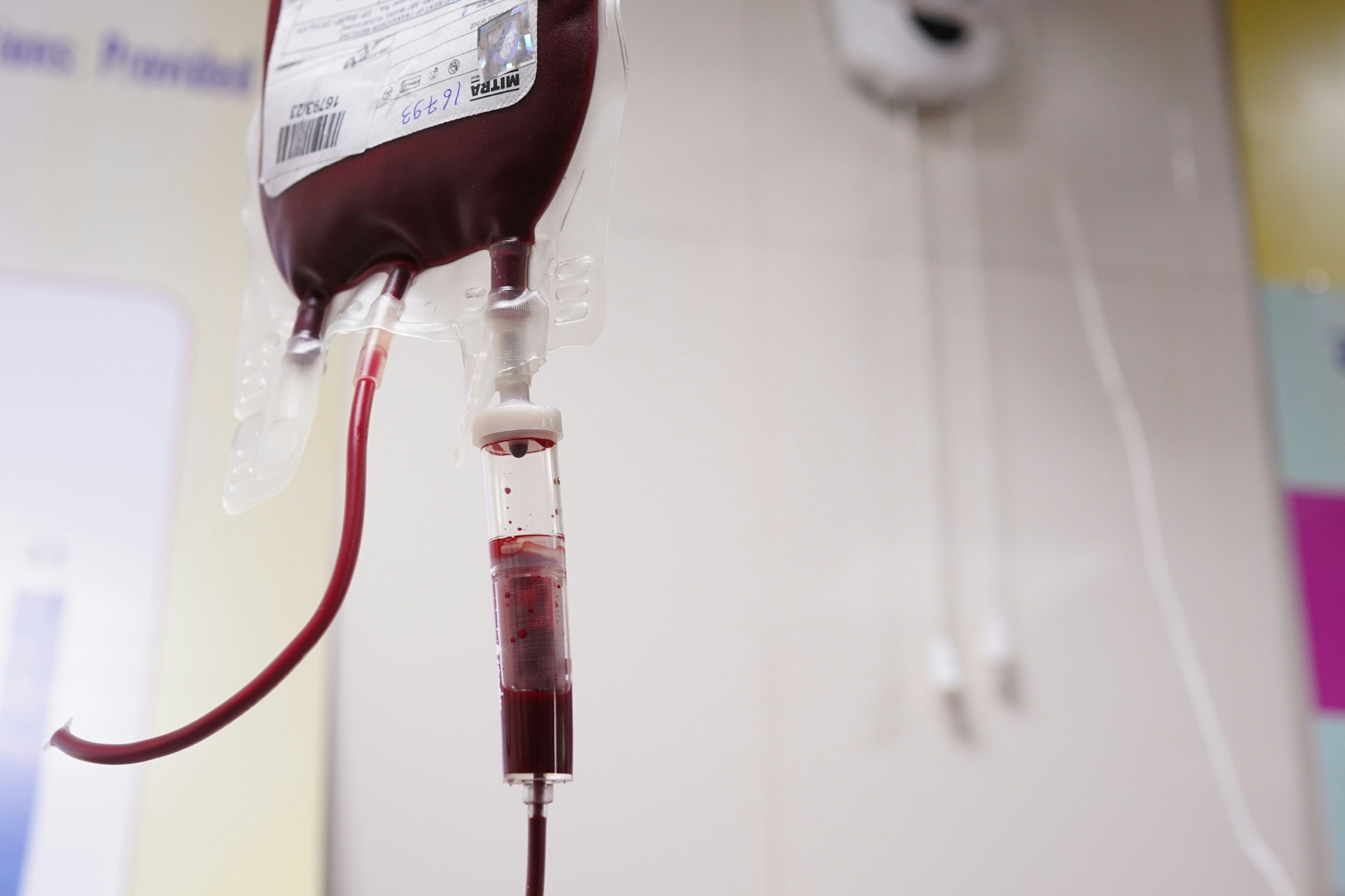 Bloodborne Pathogens